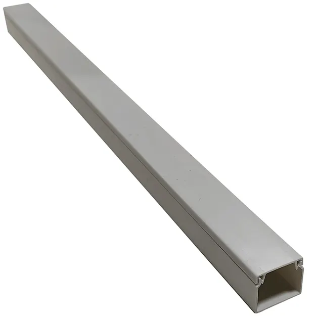 CANALETA PLASTICA IUSA 2M 17X20 ADHESIVO