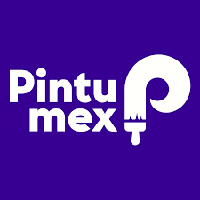 Pintumex